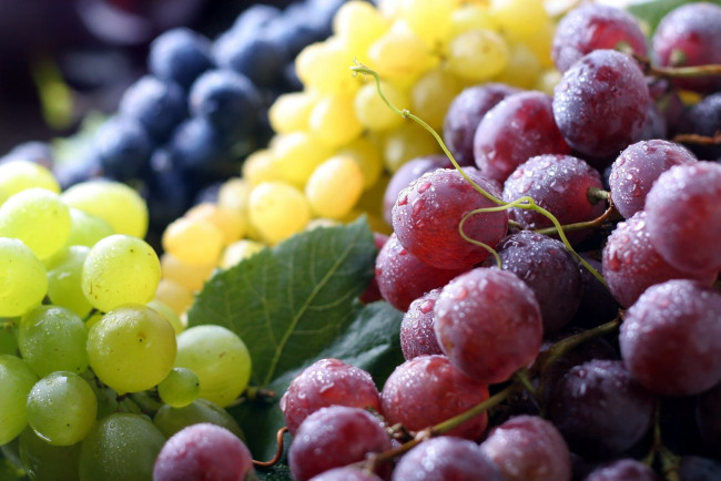 Обои картинки фото еда, виноград, ягоды, капли