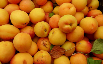 обоя еда, персики,  сливы,  абрикосы, абрикосы