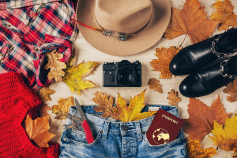 Картинка разное одежда +обувь +текстиль +экипировка кленовые листья свитер джинсы рубашка шляпа фотоаппарат паспорт туфли