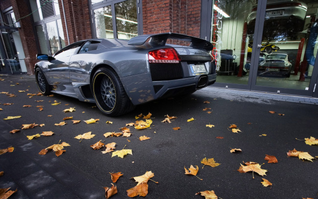 Обои картинки фото автомобили, lamborghini