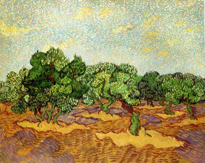 Картинка olive grove pale blue sky рисованные vincent van gogh