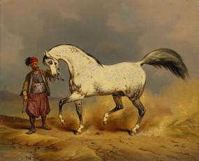 Картинка рисованные victor adam лошадь