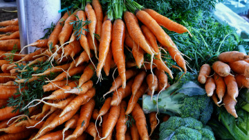 Картинка еда морковь морковка