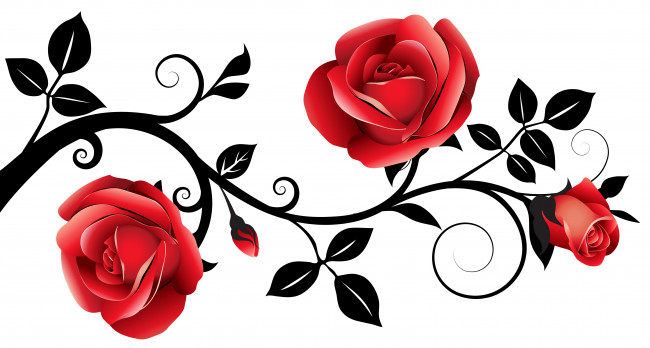Обои картинки фото векторная графика, цветы , flowers, роза, лепестки, фон