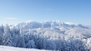 Картинка природа зима горы снег лес