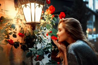 Картинка девушки -+лица +портреты фонарь куст розы