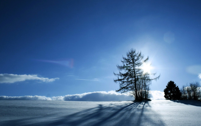 Обои картинки фото природа, зима, снег, деревья, небо, облака