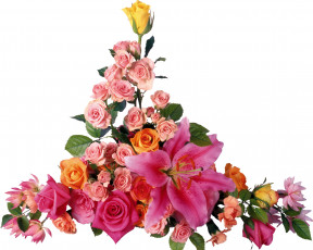 Картинка цветы букеты композиции розовый лилия розы