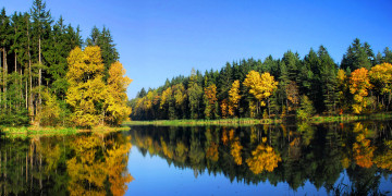 Картинка природа реки озера осень река лес деревья