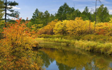 Картинка природа реки озера осень река деревья лес