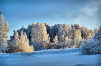 Картинка природа зима снег деревья пейзаж