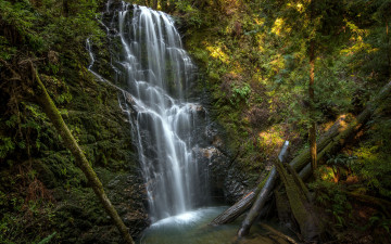 Картинка berry creek falls california природа водопады брёвна