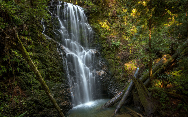 Обои картинки фото berry, creek, falls, california, природа, водопады, брёвна