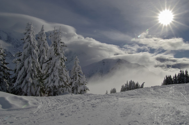 Обои картинки фото природа, зима, ели, горы, снег