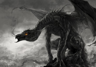 Картинка фэнтези драконы крылья когти дракон лапы