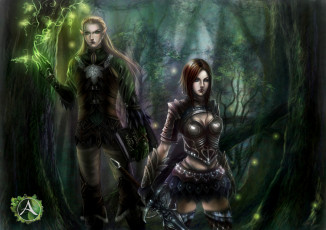 Картинка фэнтези магия волшебники эльф девушка меч лес книга