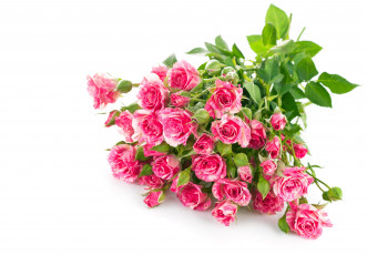 Картинка цветы розы розочки букет бутоны