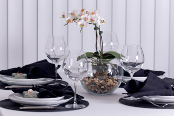 обоя интерьер, декор,  отделка,  сервировка, посуда, орхидея