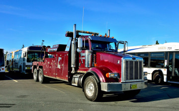 обоя peterbilt, автомобили, седельные, грузовики, классические, тягачи, сша, company, motors