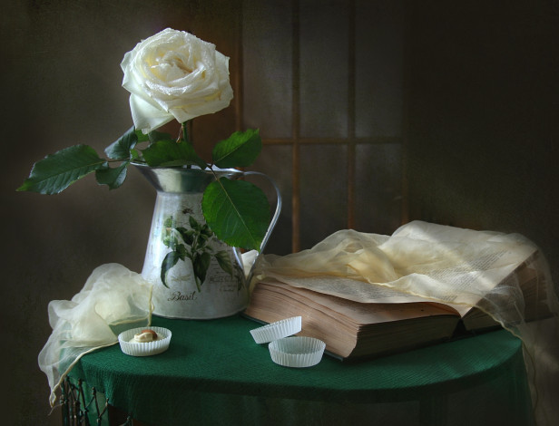 Обои картинки фото цветы, розы, натюрморт, книга