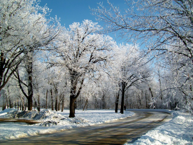 Обои картинки фото природа, другое, дорога, деревья, зима