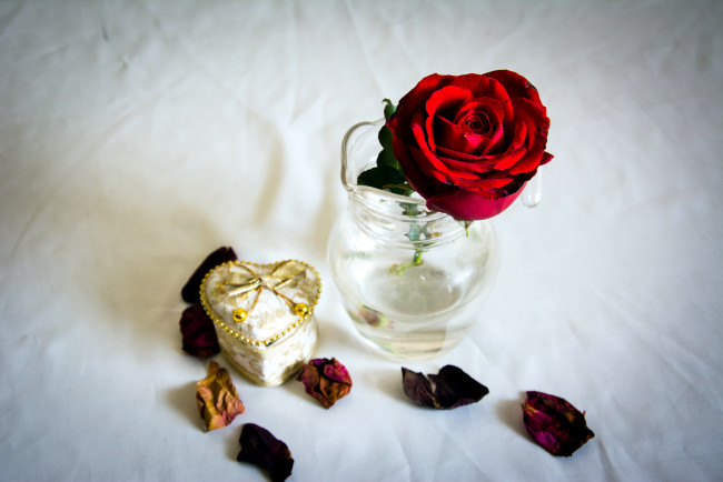 Обои картинки фото цветы, розы, ваза, красный, лепестки, шкатулка