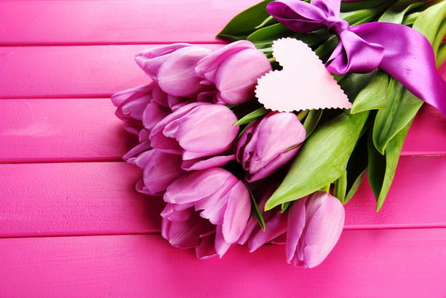 Обои картинки фото цветы, тюльпаны, сердце