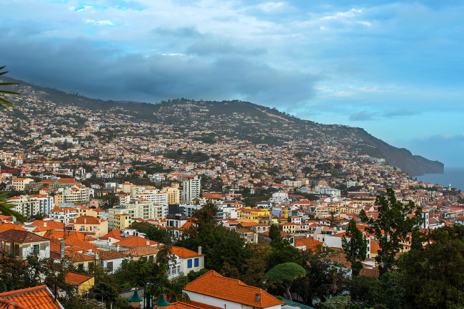 Обои картинки фото funchal madeira, города, - панорамы, панорама, дома, португалия, madeira, funchal