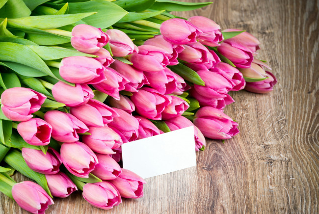 Обои картинки фото цветы, тюльпаны, записка, розовый, много, бутоны