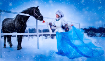 обоя девушки, -unsort , снегурочки, лошадь, девушка, шапка, платье, яблоко, платок, снег