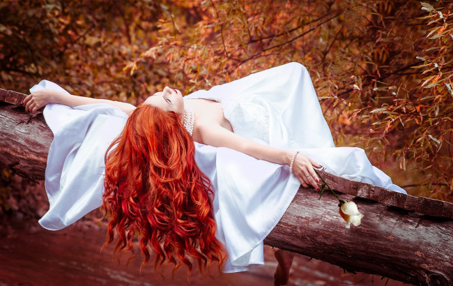 Обои картинки фото девушки, -unsort , рыжеволосые и другие, роза, платье, рыжая, волосы