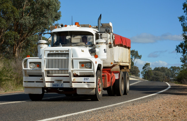 Обои картинки фото mack r600, автомобили, mack, тягач, седельный, грузовик, тяжелый