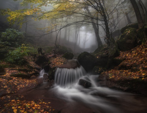 Картинка природа водопады пейзаж ручей лес
