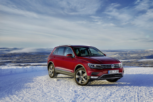 Обои картинки фото автомобили, volkswagen, 2016г, tiguan