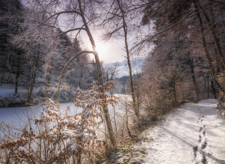 Картинка природа зима деревья лес дорога река
