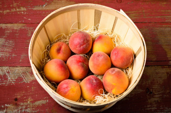 Картинка еда персики +сливы +абрикосы плоды