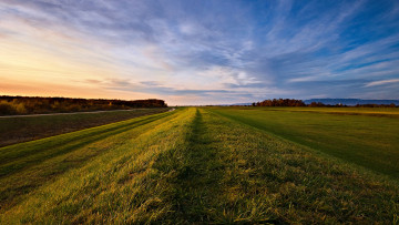 Картинка природа поля поле небо облака трава