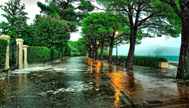 Обои картинки фото города, - улицы,  площади,  набережные, деревья, фонари, дорога, дождь