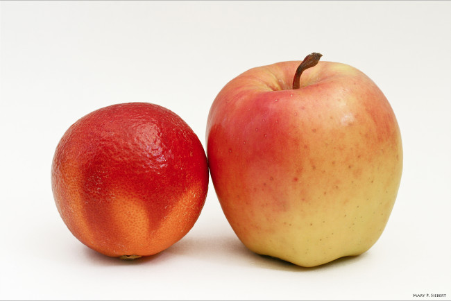 Обои картинки фото еда, Яблоки, плоды