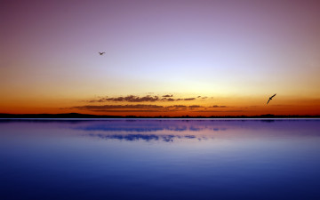 Картинка природа реки озера небо закат птицы озеро