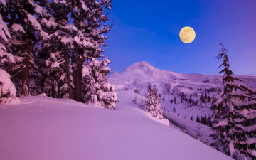 Картинка природа зима луна горы снег лес