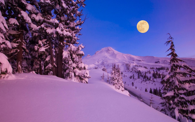 Обои картинки фото природа, зима, луна, горы, снег, лес