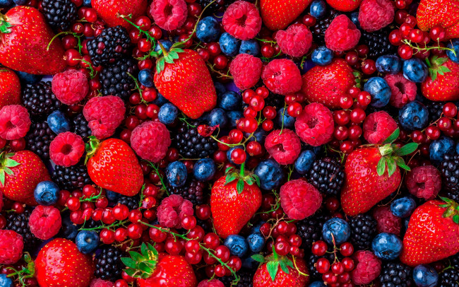 Обои картинки фото еда, фрукты,  ягоды, ежевика, малина, красная, смородина, клубника, черника
