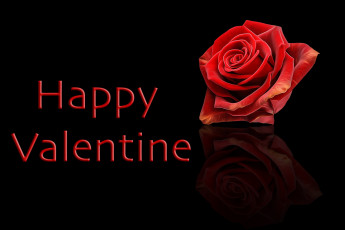 Картинка праздничные день+святого+валентина +сердечки +любовь роза надпись пожелание