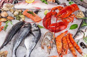Картинка еда рыба +морепродукты +суши +роллы морепродукты свежие