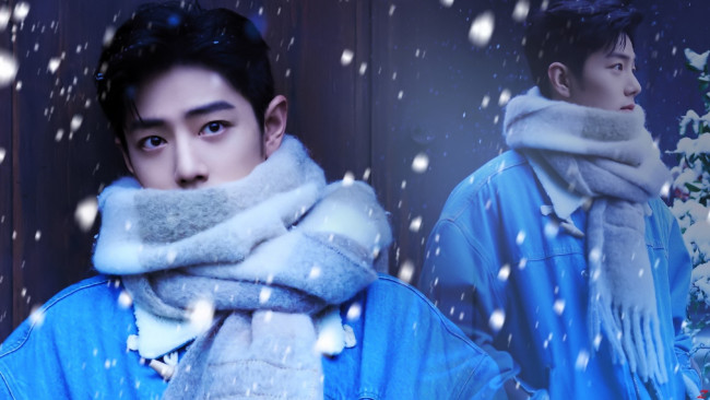 Обои картинки фото мужчины, xiao zhan, актер, лицо, шарф, снег, куртка