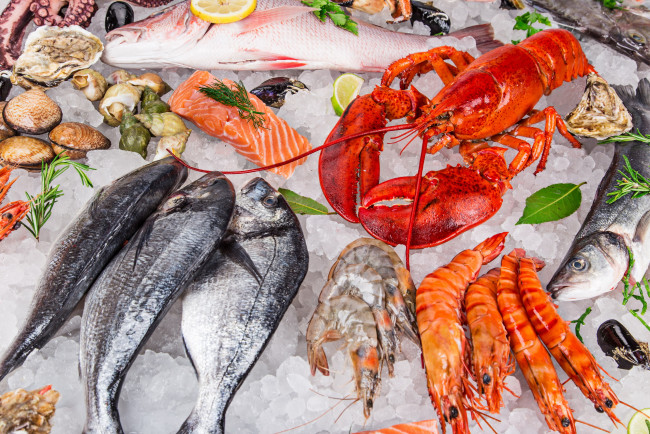 Обои картинки фото еда, рыба,  морепродукты,  суши,  роллы, морепродукты, свежие