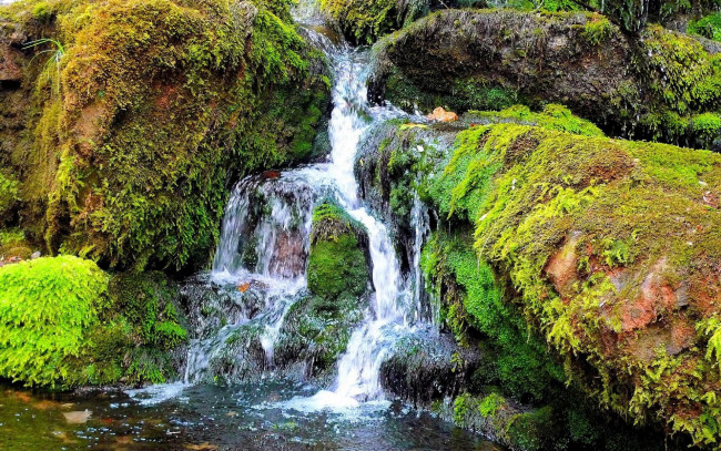 Обои картинки фото природа, водопады, мох, вода
