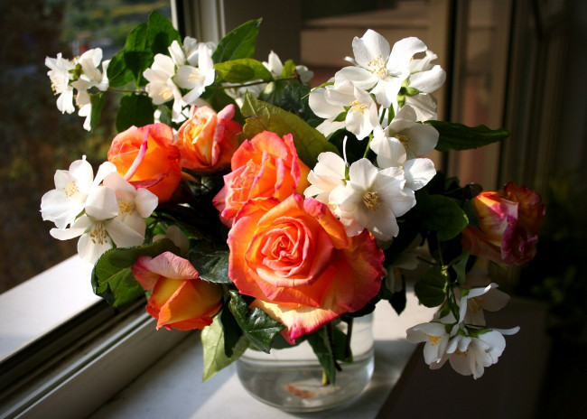 Обои картинки фото цветы, букеты, композиции, жасмин, розы