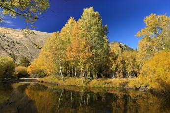Картинка природа реки озера река лес осень